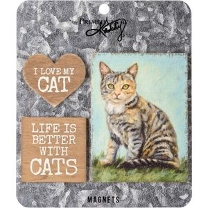 TABBY CAT Memo Magnet Set STRIPED KITTY Artwork Home Office Kitten Lovers Gifts